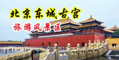 三上悠亜高潮后黑人喷水免费中国北京-东城古宫旅游风景区